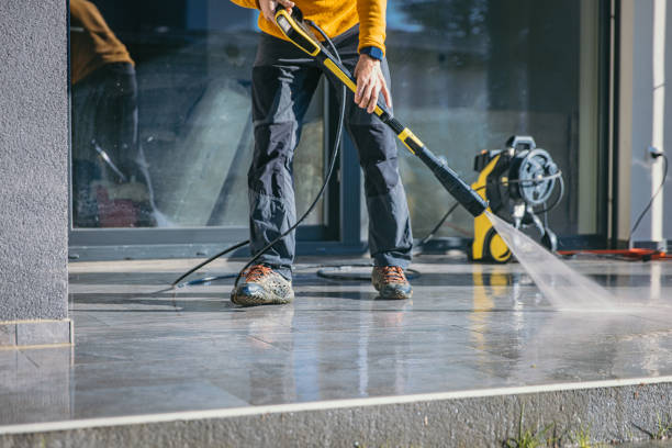 Best Gutter Cleaning  in Lynchburg, VA